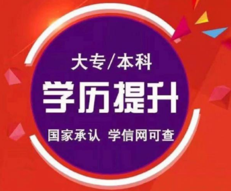 自考本科文凭有用吗？2026年考公、考研与留学认可度深度测评