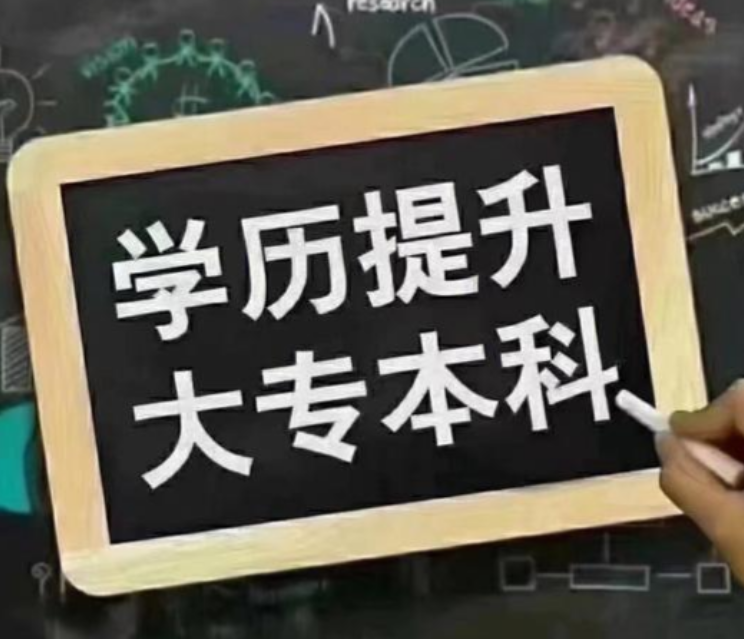 学历提升咨询入口大全：从自考专科到成人本科的官方报名渠道核实